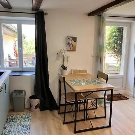 公寓 Sous Le Tilleul Le Avec Jacuzzi 沃尔斯河畔的贝勒加德
